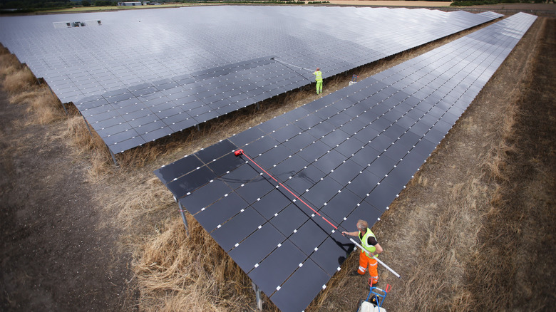 Workers cleaning solar panels
