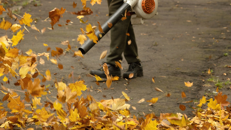 Person blowing leaves with a leaf blower