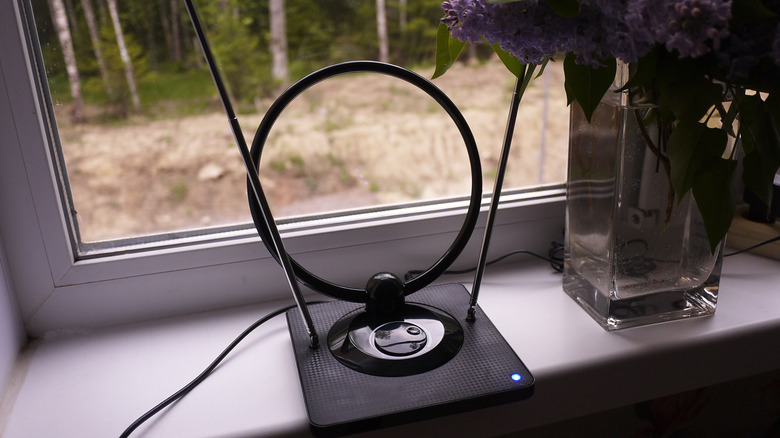 An indoor TV antenna placed near a window next to a plant