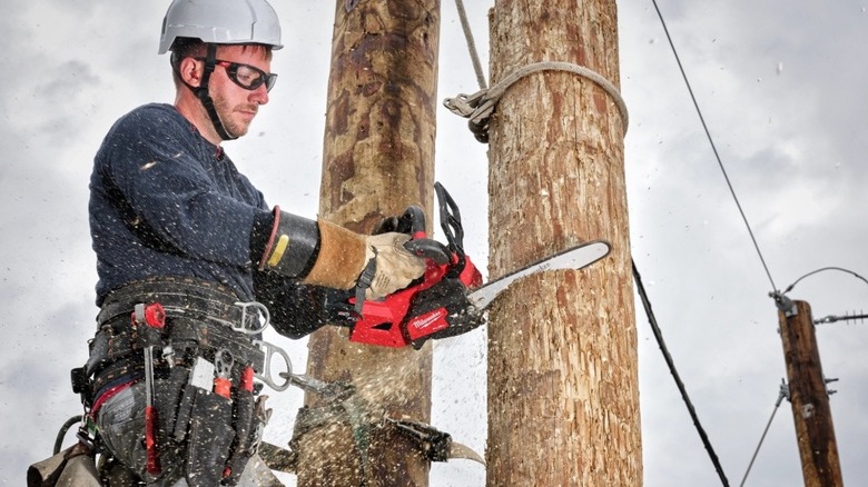 Person using battery-powered Milwaukee chainsaw