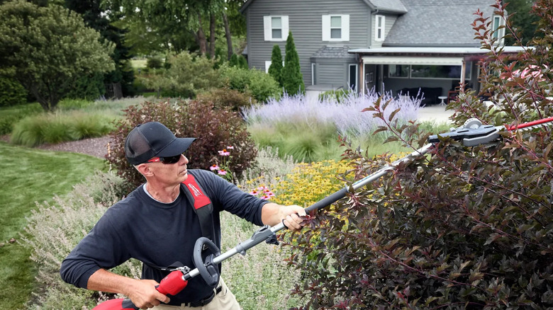 Man using the Milwaukee M18 Fuel Power head with a hedge trimmer
