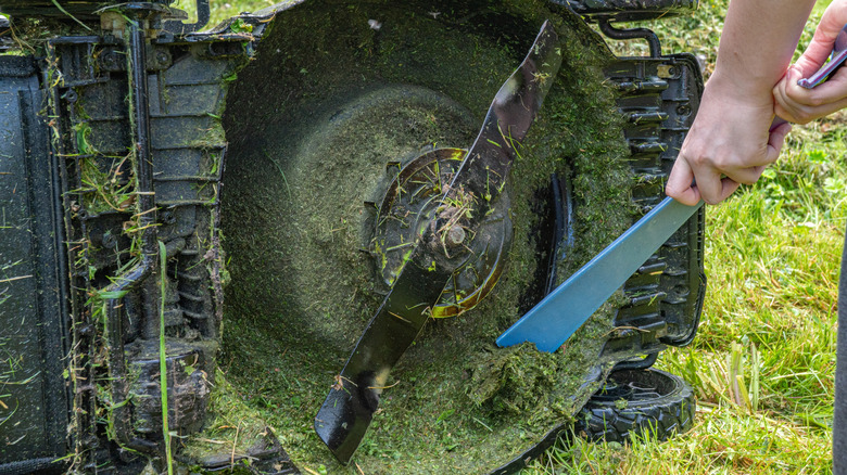 A person cleaning underneath the deck of a lawn mower