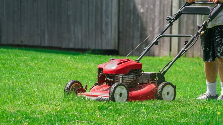 Person holding red lawnmower on grass
