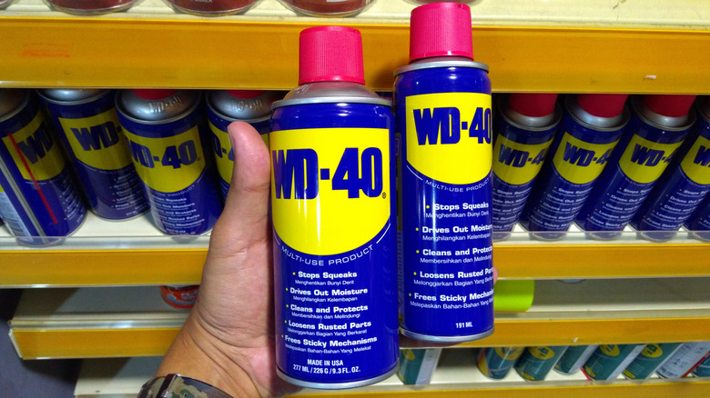 Person holding two cans of WD-40.