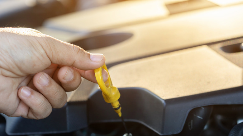 A person pulling out the dipstick in the engine to check the oil
