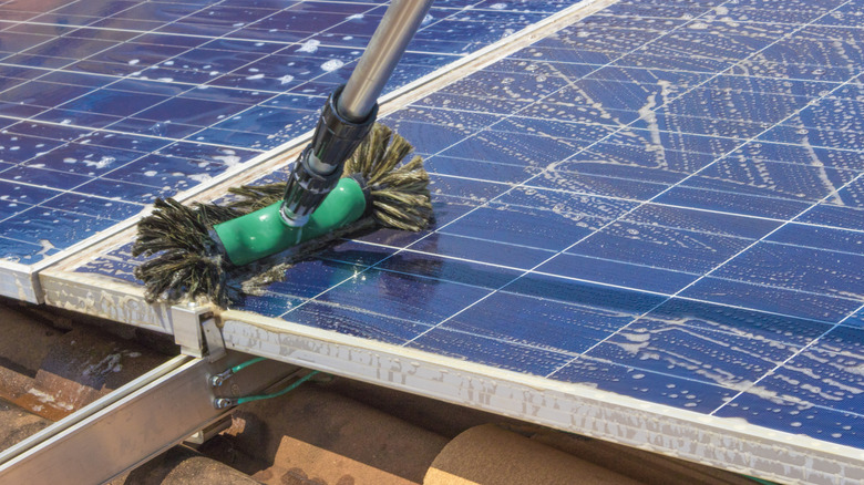 A person cleaning a solar panel with a brush.