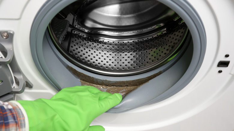 A person inspecting a dirty rubber gasket on a washing machine.