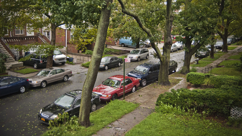 Cars parked in front of residential homes on a neighborhood street.