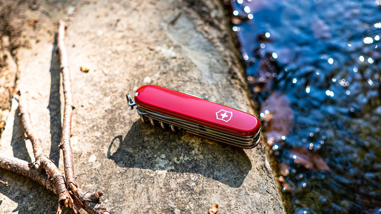 Swiss Army Knife laying next to a creek