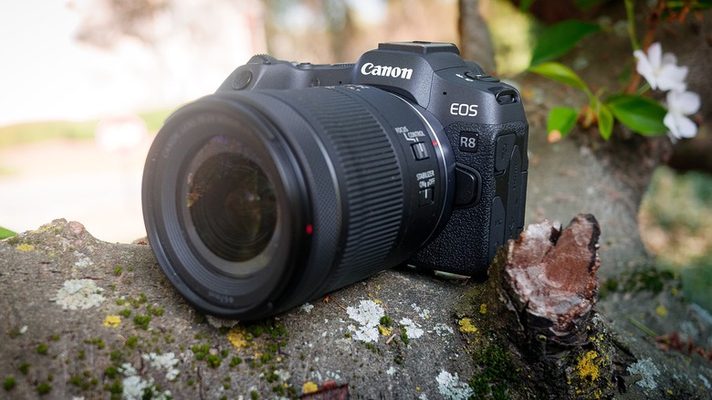 Canon EOS R8