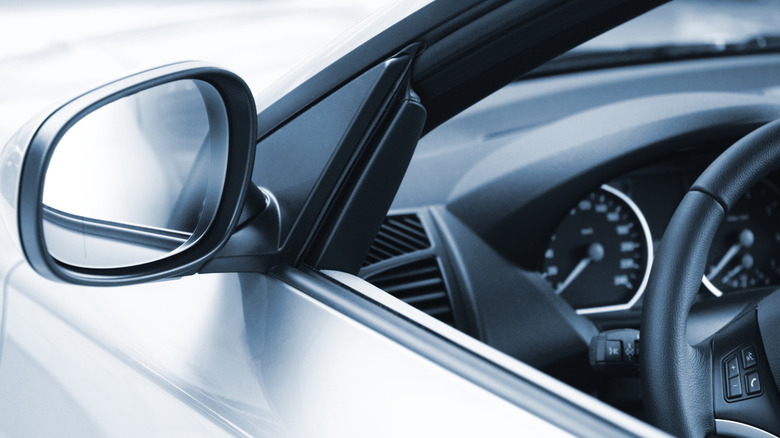 Close-up view of front half of left-side car door with window rolled down, focusing on weatherstripping elements and car mirror