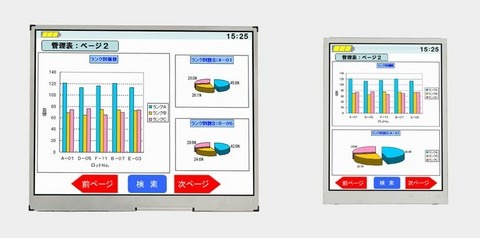 Casio Blanview LCD