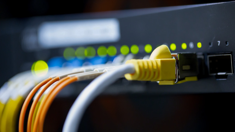 Ethernet cables plugged into a server.