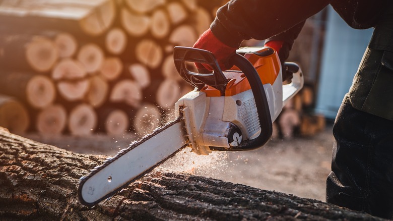 Cutting firewood with portable chainsaw