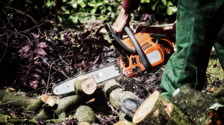 cutting tree branches with chainsaw
