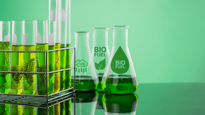 various test tubes and science beakers filled with liquids and labeled biofuel and CO2