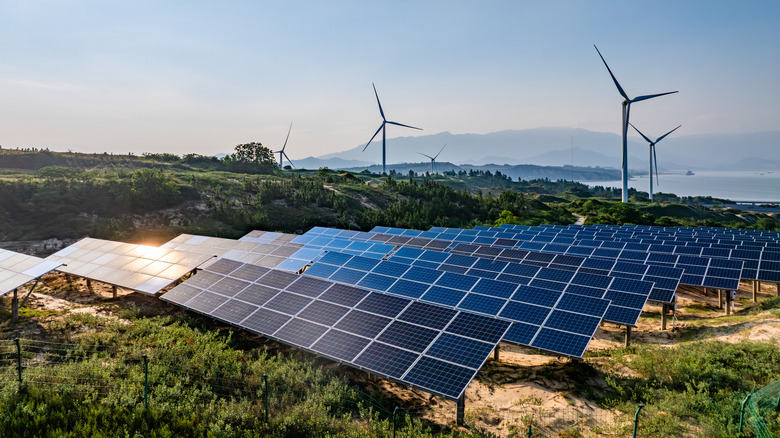 Solar panels and wind turbines absorb energy on farm near a bay