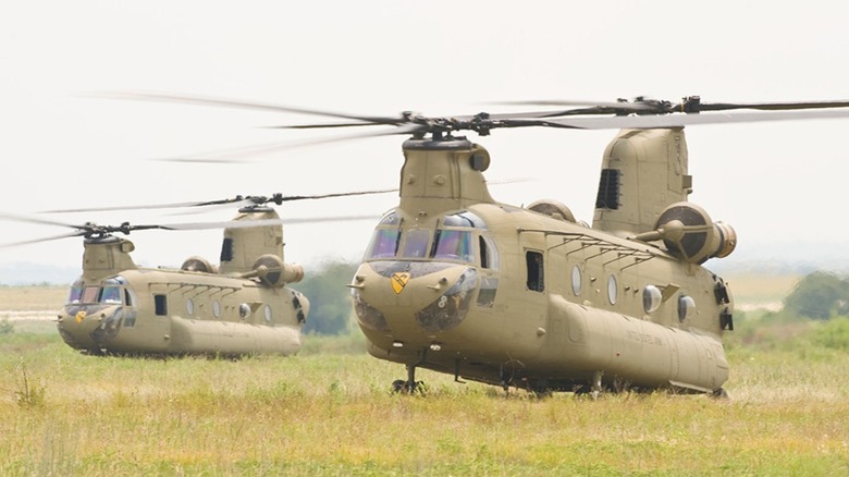 Two Chinook helecopters on grass field