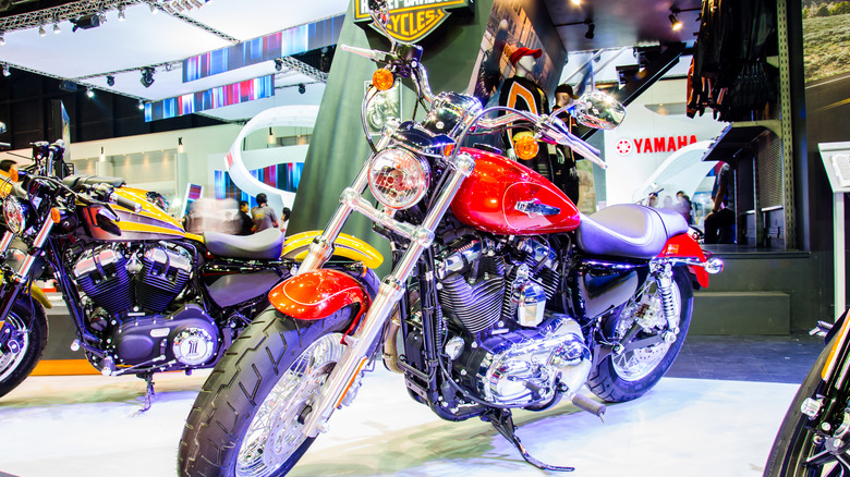 A Sportster 1200 Custom