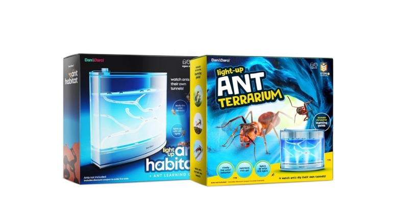 Packaging for ant farm terrarium