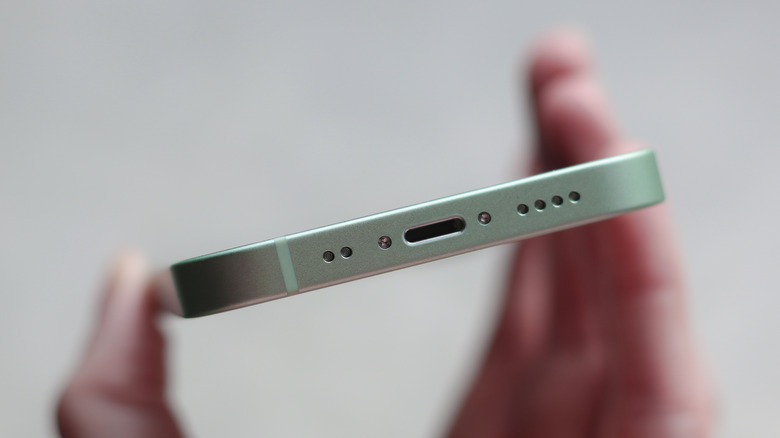 iPhone Lightning port