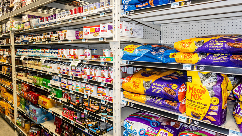 Dry and canned cat food stocked on store shelves