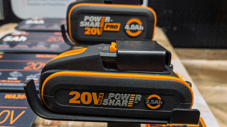 A display of 20V power tool batteries.