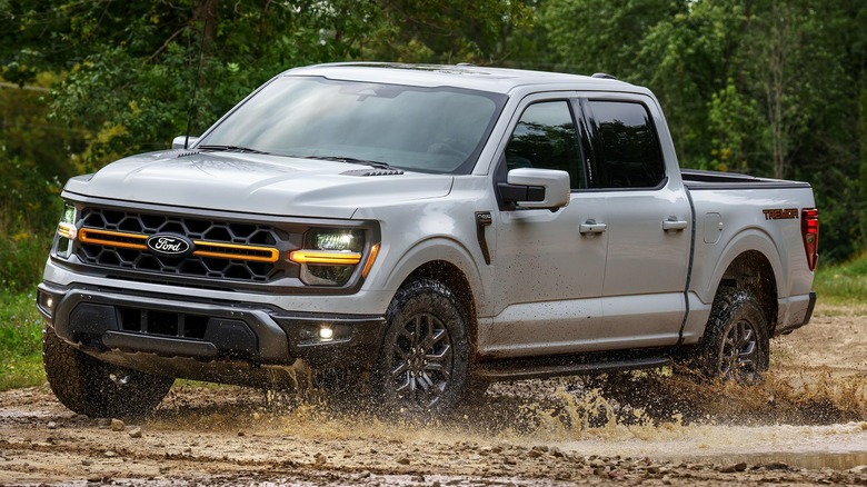 Grey Ford F-150 in water