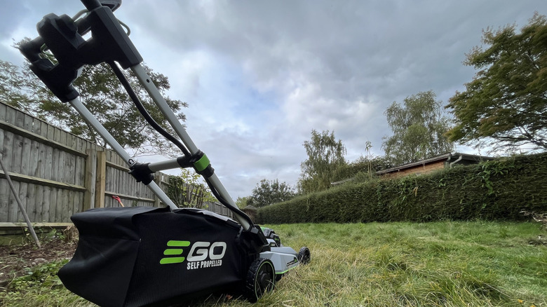 An Ego push lawn mower with a Self-Propelled branded trimmings bag, rear 3/4 view, ultra wide angle