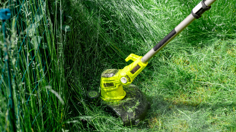 Man trimming overgrown grass with a string trimmer