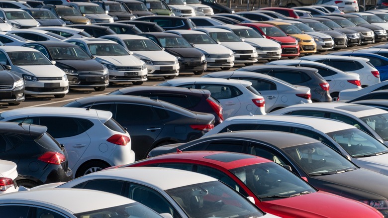 Cars in a parking lot