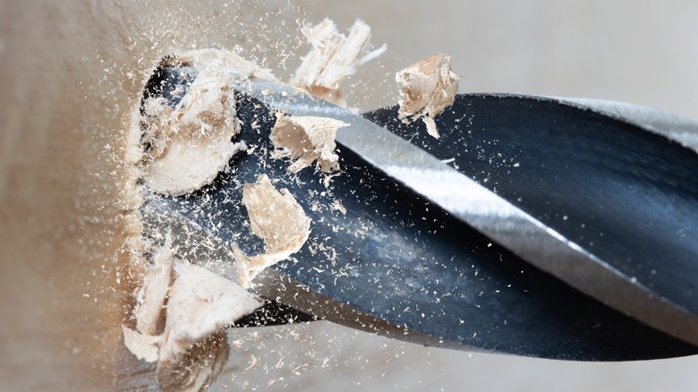 A drill bit designed for drilling wood at work.