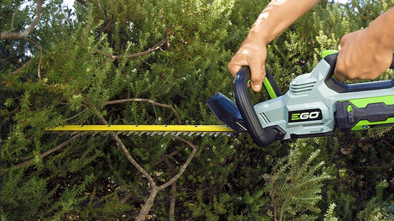 Ego Power+ 24-inch Cordless Hedge Trimmer in use