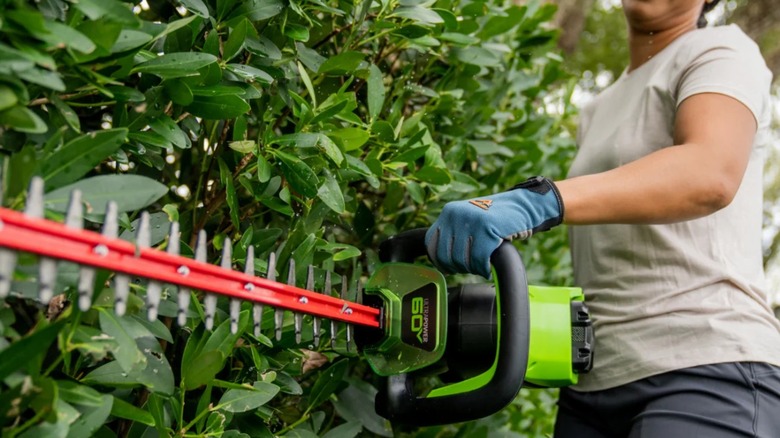 Greenworks 60V 26-inch Cordless Battery Hedge Trimmer in use