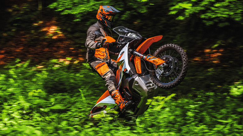 KTM 890 Adventure R in woodland