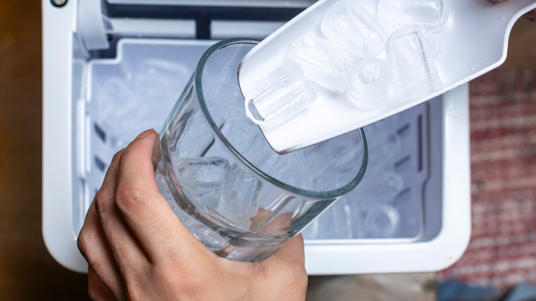 Closeup shot of a person's hand transferring bullet type ice cubes from a small portable ice maker into a clear glass with a small scoop.