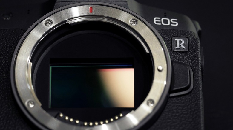Canon EOS R with a full-frame sensor