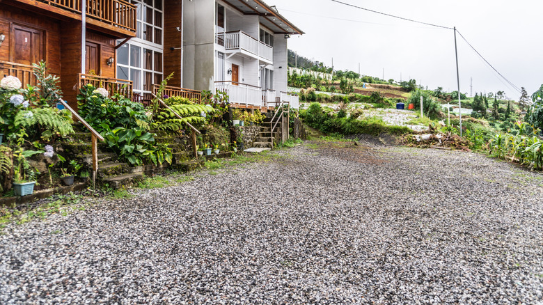 House with gravel driveway and lush greenery