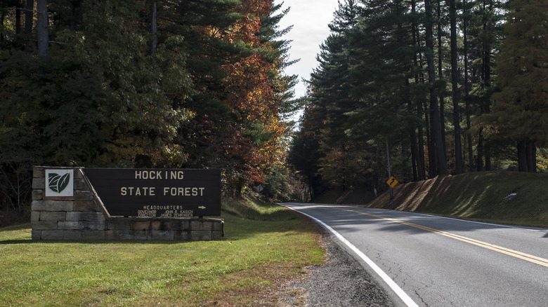 Entrance sign for Hocking State Forest along a scenic two-lane road lined with tall pine trees and fall foliage in southeastern Ohio.