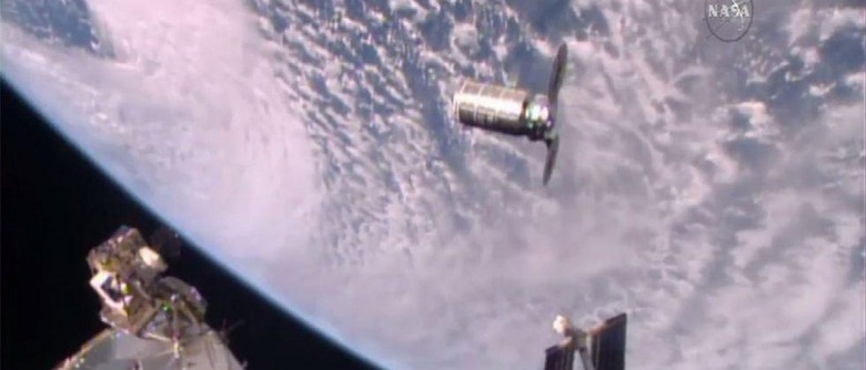 cygnus-1