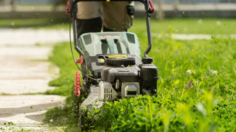 A rotary push mower cutting heavy, tall grass.