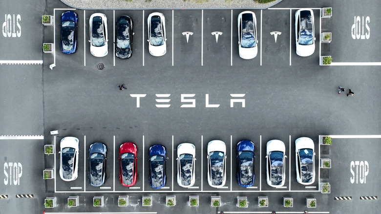 tesla cars on charging lot
