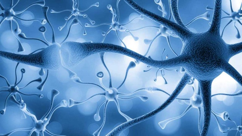 Neurons with blue background