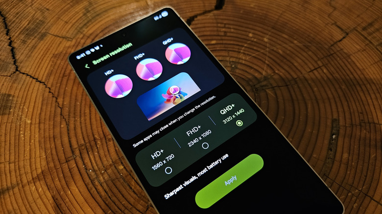 Display resolution settings on Samsung Galaxy S25 Ultra