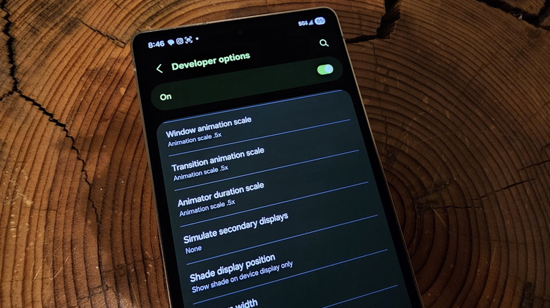 Developer options settings on Samsung Galaxy S25 Ultra