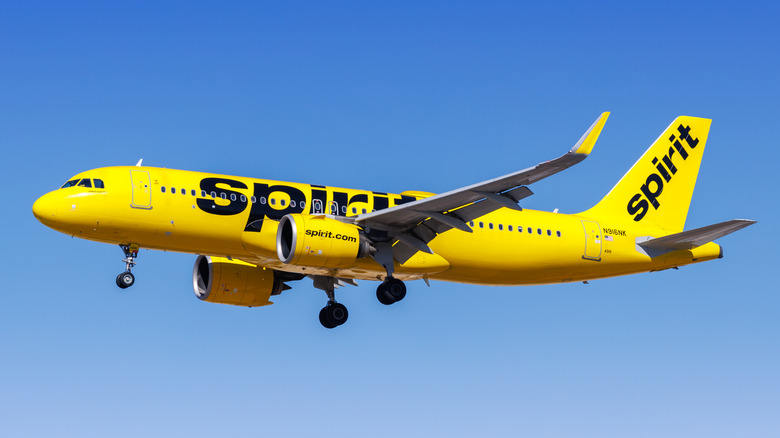 A Spirit Airlines jet in the air with a blue sky all around