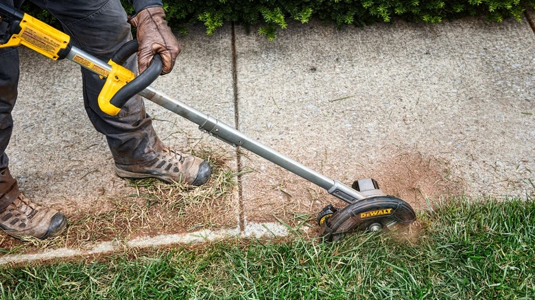 A person using a cordless DeWalt edger.