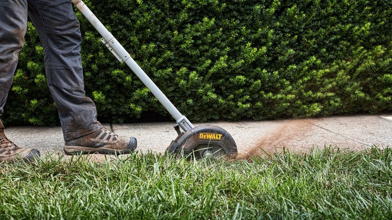 A person using a cordless DeWalt edger.