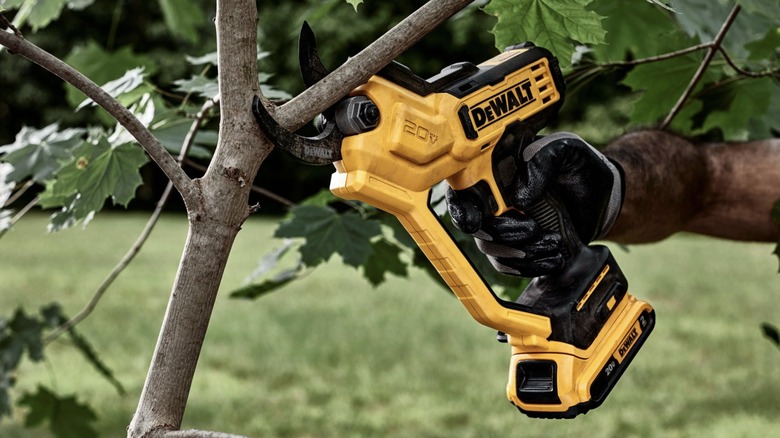 DeWalt's 20V Pruning Shears cutting branch