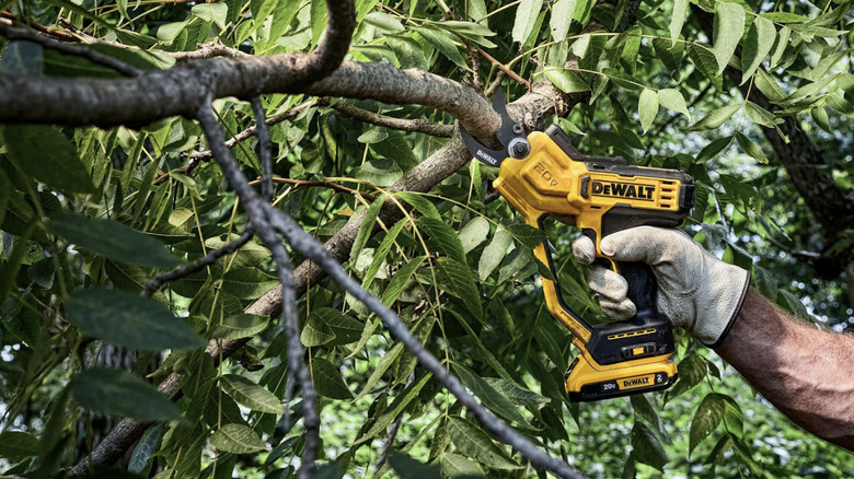 DeWalt's 20V Pruning Shears in use